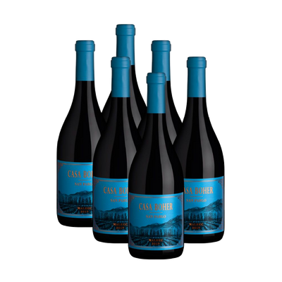 Casa Boher San Pablo Malbec