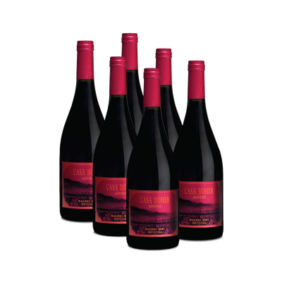 Casa Boher Agrelo Malbec